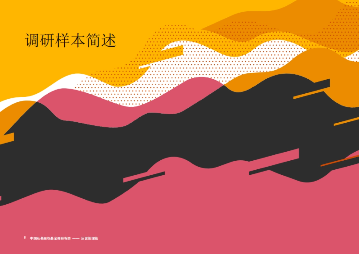 中国私募股权基金调研报告2021：运营管理篇-普华永道-36页_第6页