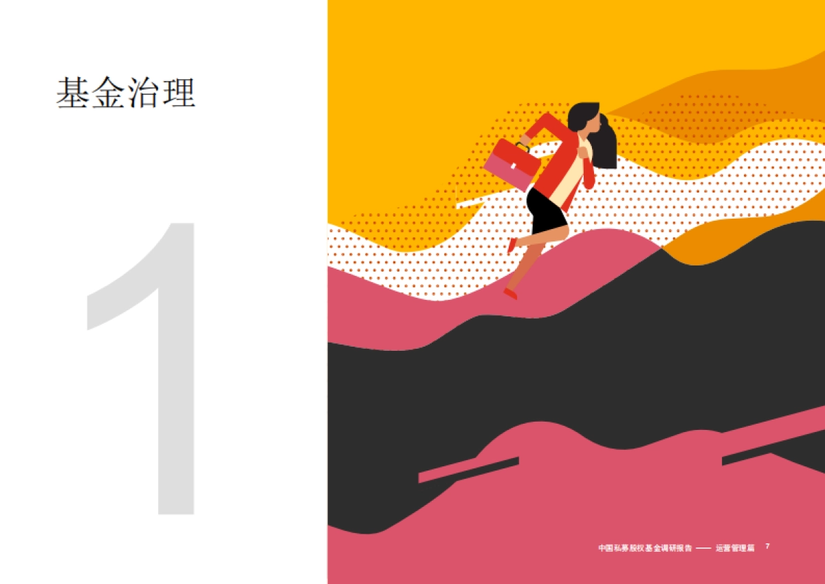 中国私募股权基金调研报告2021：运营管理篇-普华永道-36页_第8页