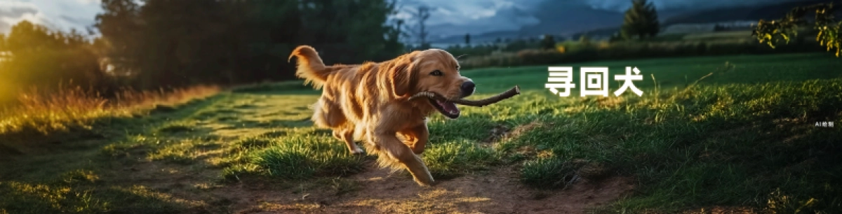 2024“时间的朋友”跨年演讲PPT_第5页