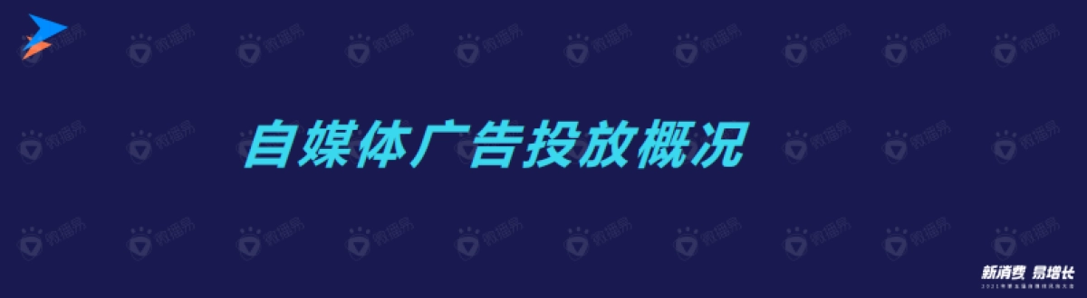 风向大会微播易徐涛演讲PPT_第8页