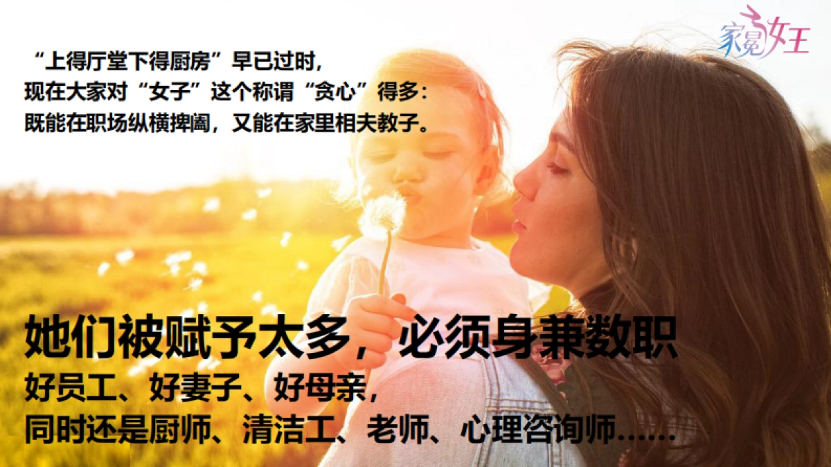 512家冕女王方案好奇&合生元&威猛&高洁丝&亨氏案例报告_第5页