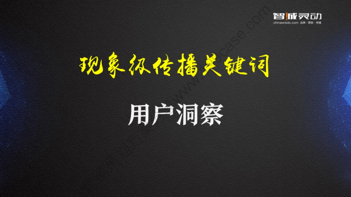 2017现象级的传播案例解析之网易云音乐_第10页