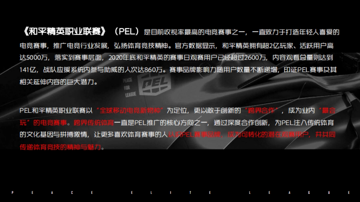 2021PEL和平精英上海国际赛车场跨界传播案例_第2页
