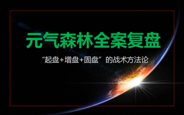 2022元气森林全案复盘