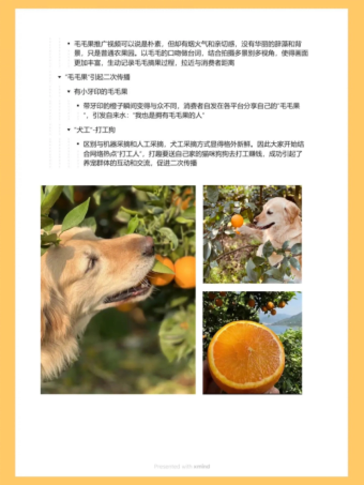 2023毛毛果营销案例拆解_第3页