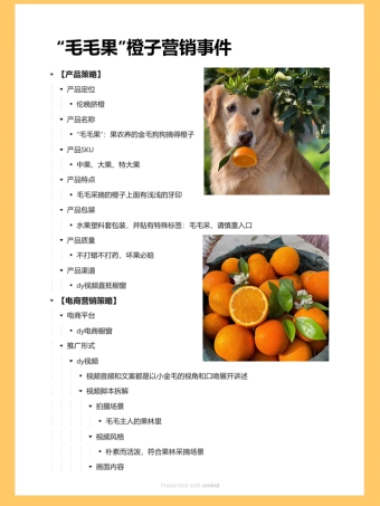 2023毛毛果营销案例拆解