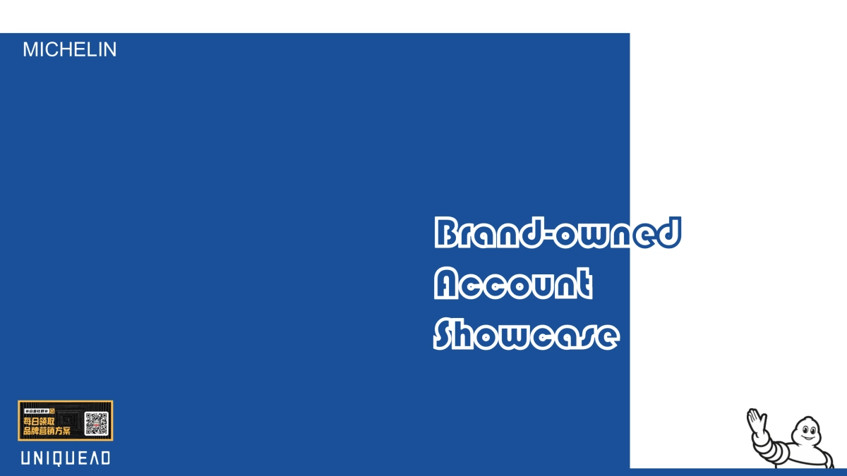 Michelin 2019 proposal_Final 1126（公司简介&日常案例）_第1页