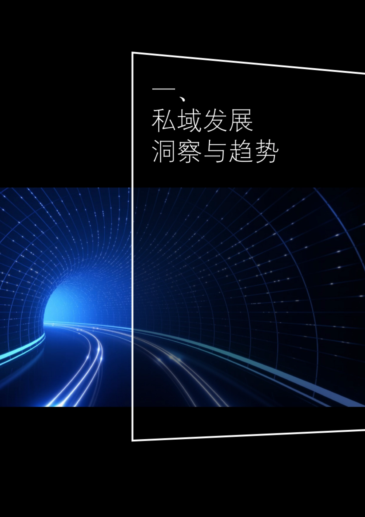 FAST+方法论:以私域为核心的全域消费者持续运营-德勤&天猫-40页_第6页