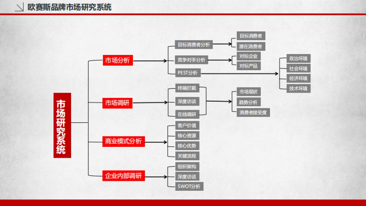 数字时代大品牌：欧赛斯品牌方法及策略 130页_第10页