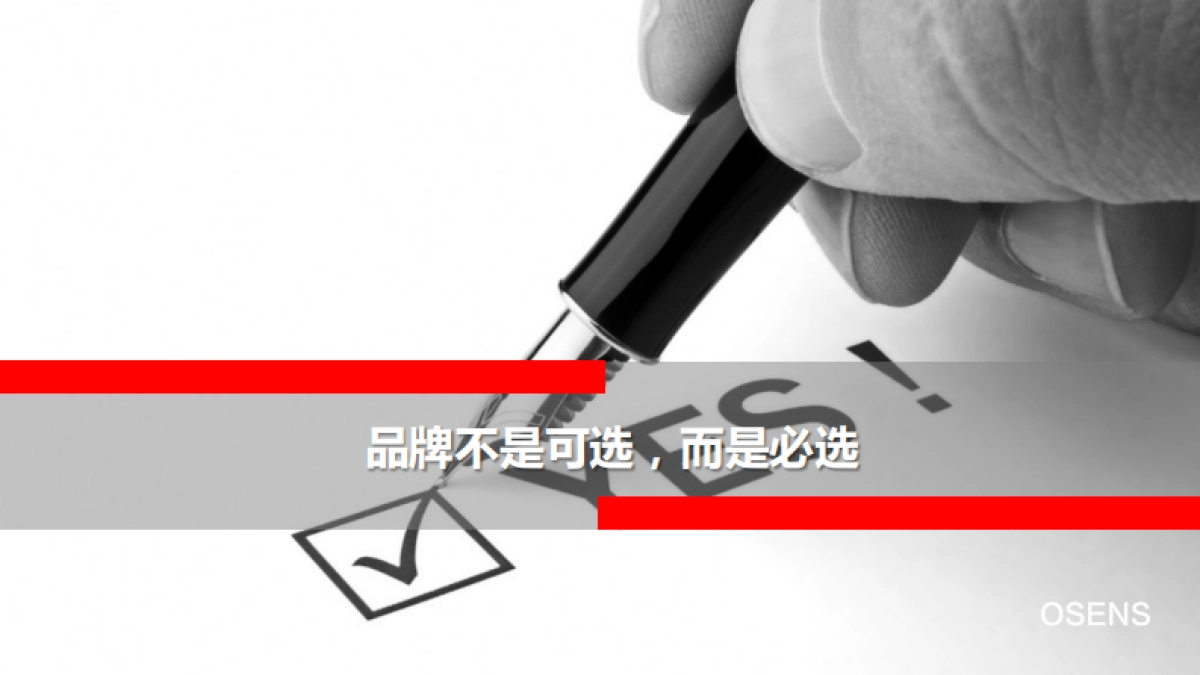 数字时代大品牌：欧赛斯品牌方法及策略 130页_第3页