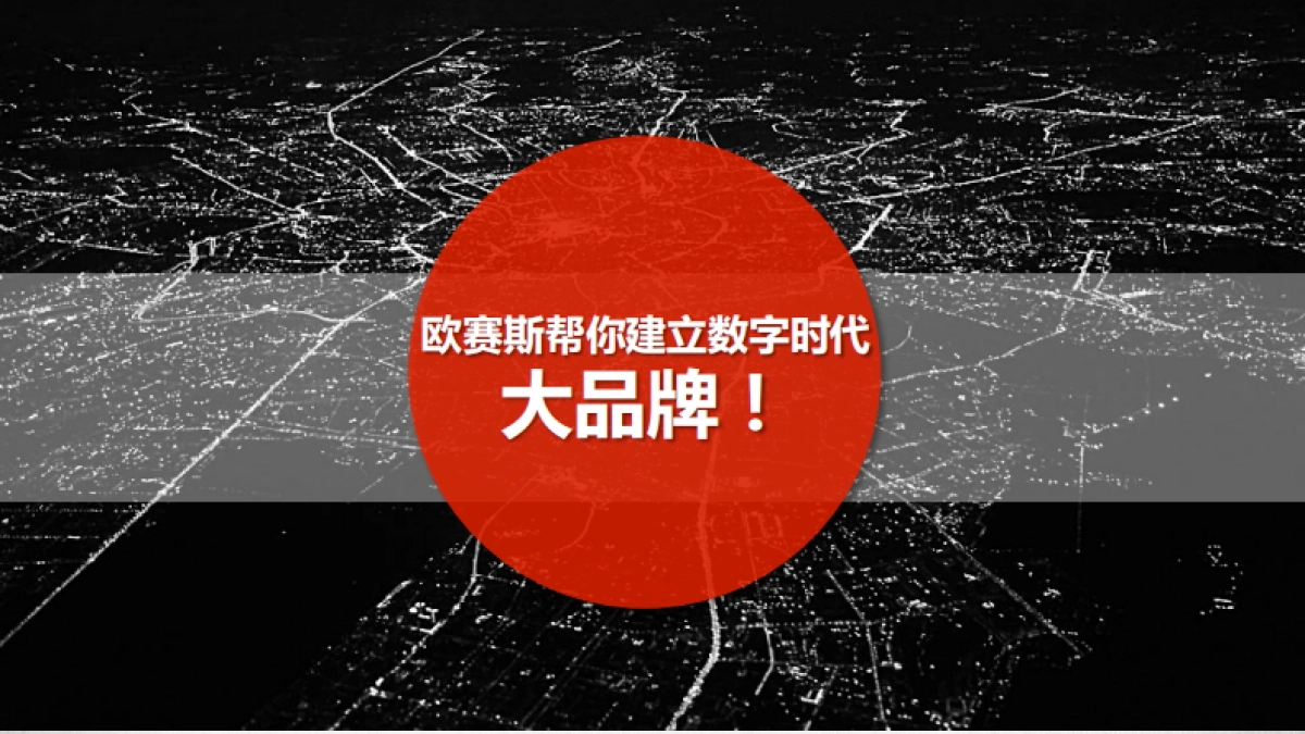 数字时代大品牌：欧赛斯品牌方法及策略 130页_第8页