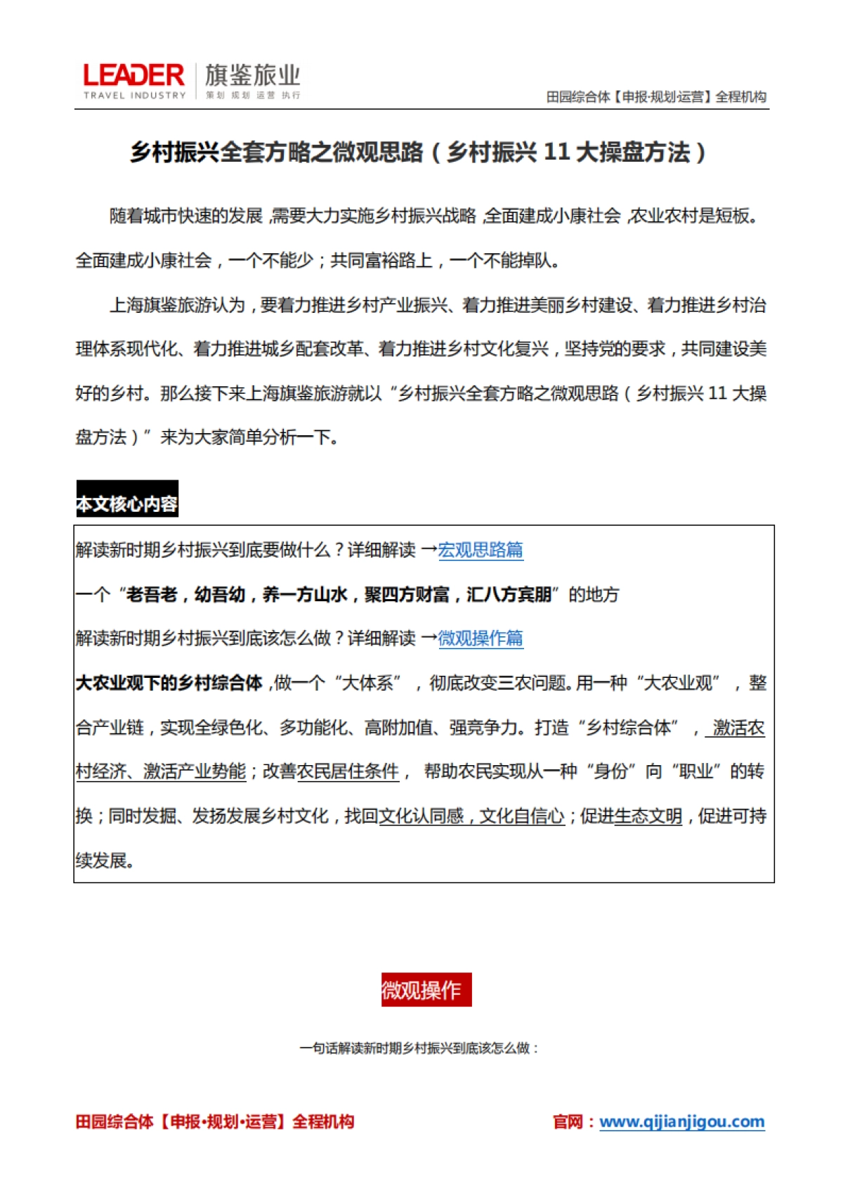 乡村振兴全套方略之微观思路(乡村振兴11大操盘方法)_第1页