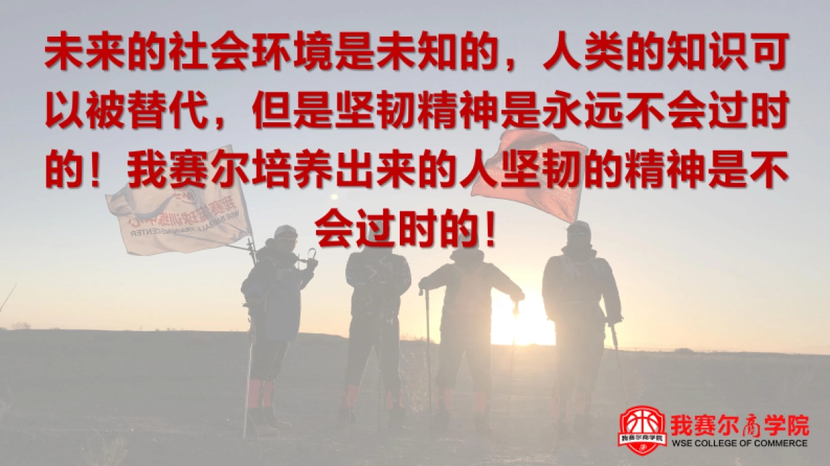 2020我赛尔少儿篮球培训教育机构品牌介绍_第6页