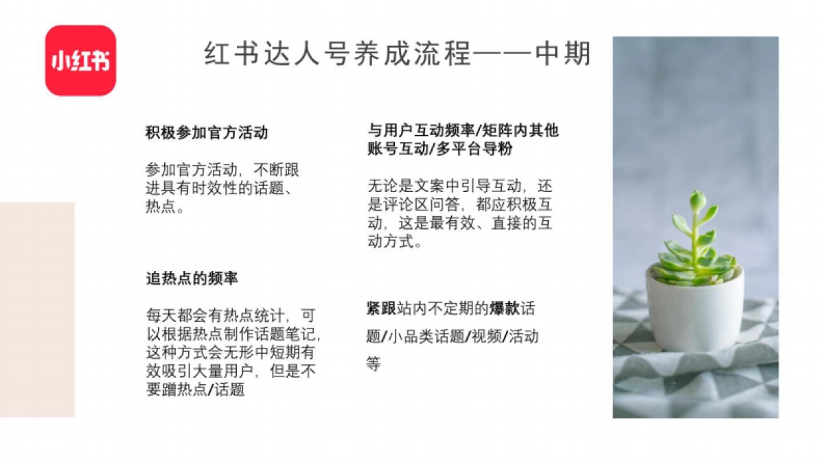2023小红书内容运营技巧培训SOP-小红书_第5页