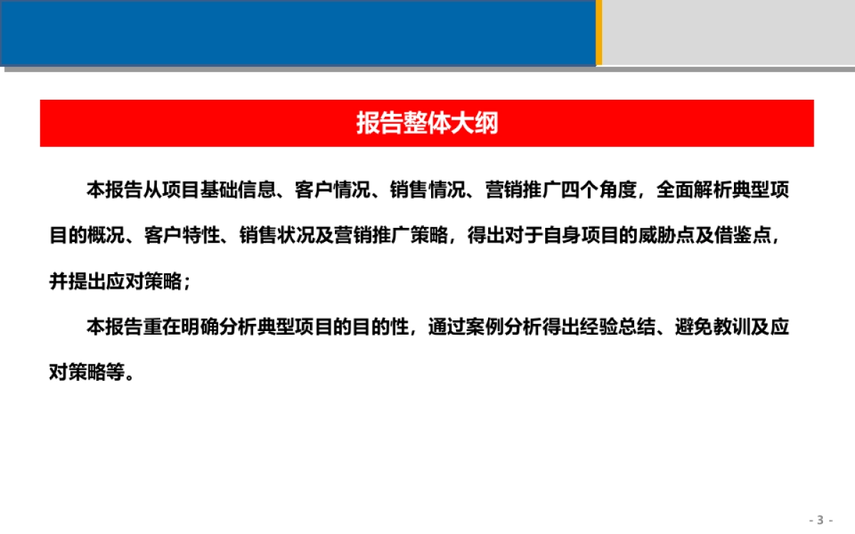 典型项目分析报告课件_第3页