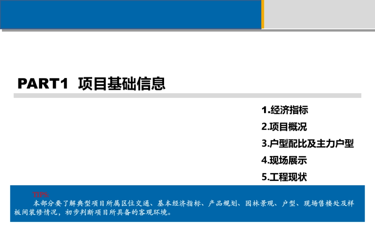 典型项目分析报告课件_第5页