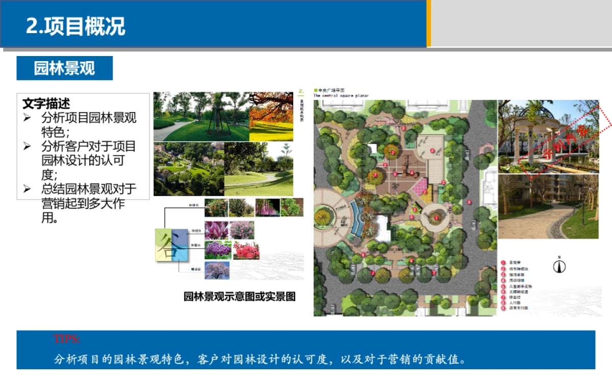 典型项目分析报告课件_第9页