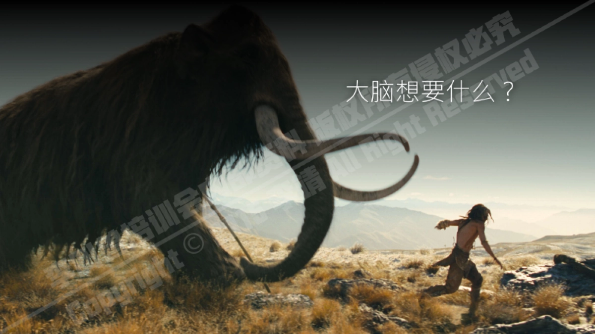 李叫兽培训会内部资料_第10页