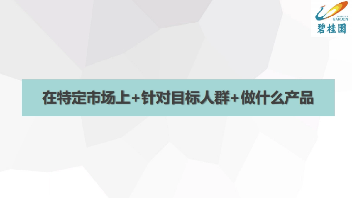 培训前策-营销视野下的产品定位-58_第6页