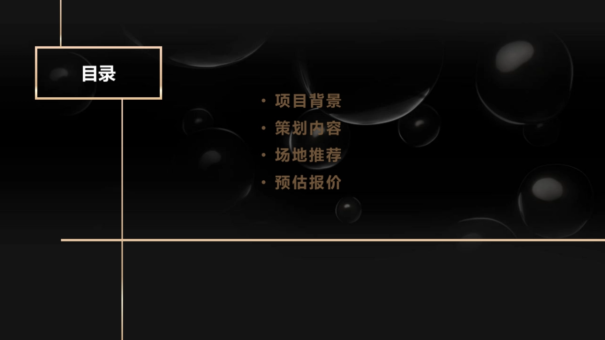 卡诗_新品发布会方案_第2页