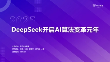 2025年DeepSeeK开启AI算法变革元年