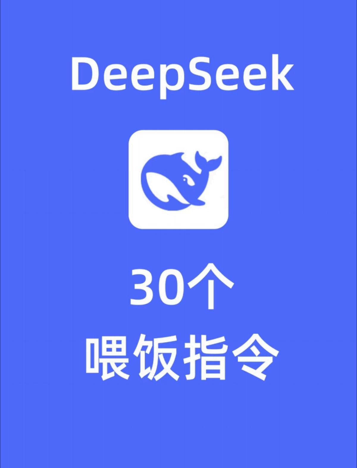 DeepSeek-30个喂饭指令_第1页