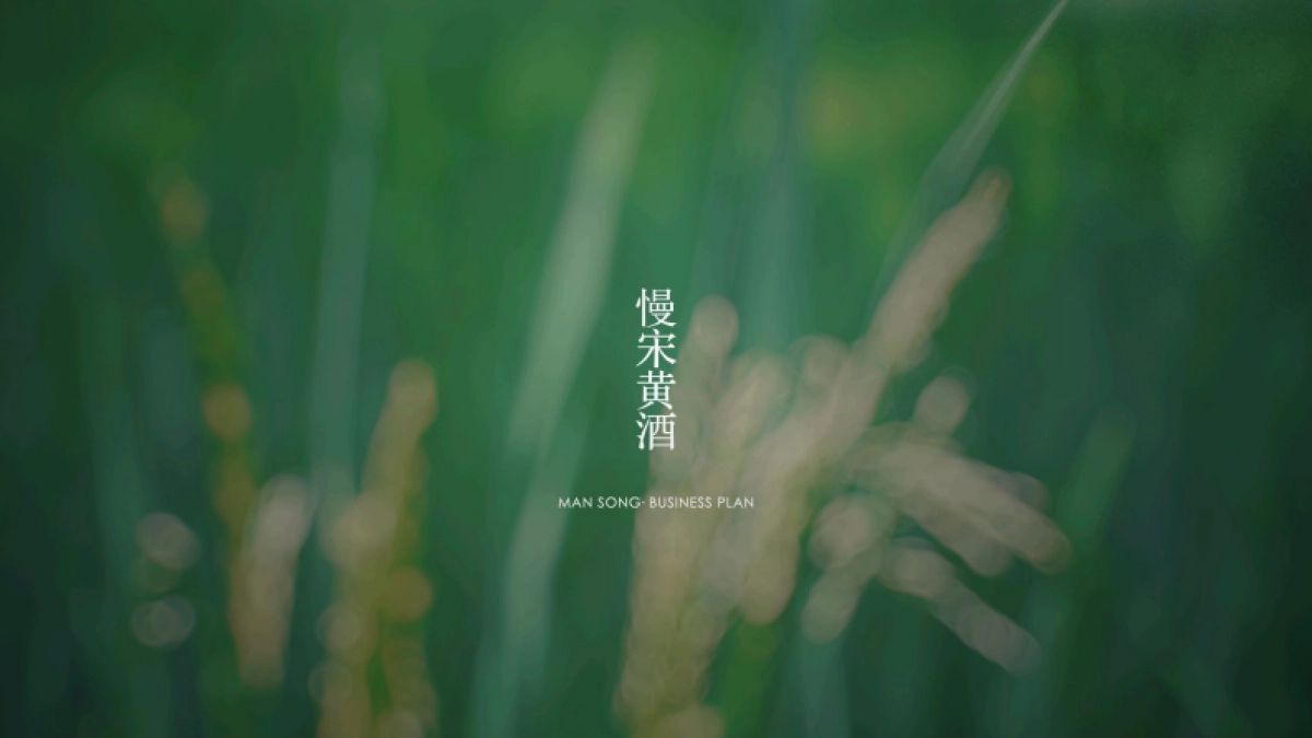 慢宋品牌全案框架_第1页