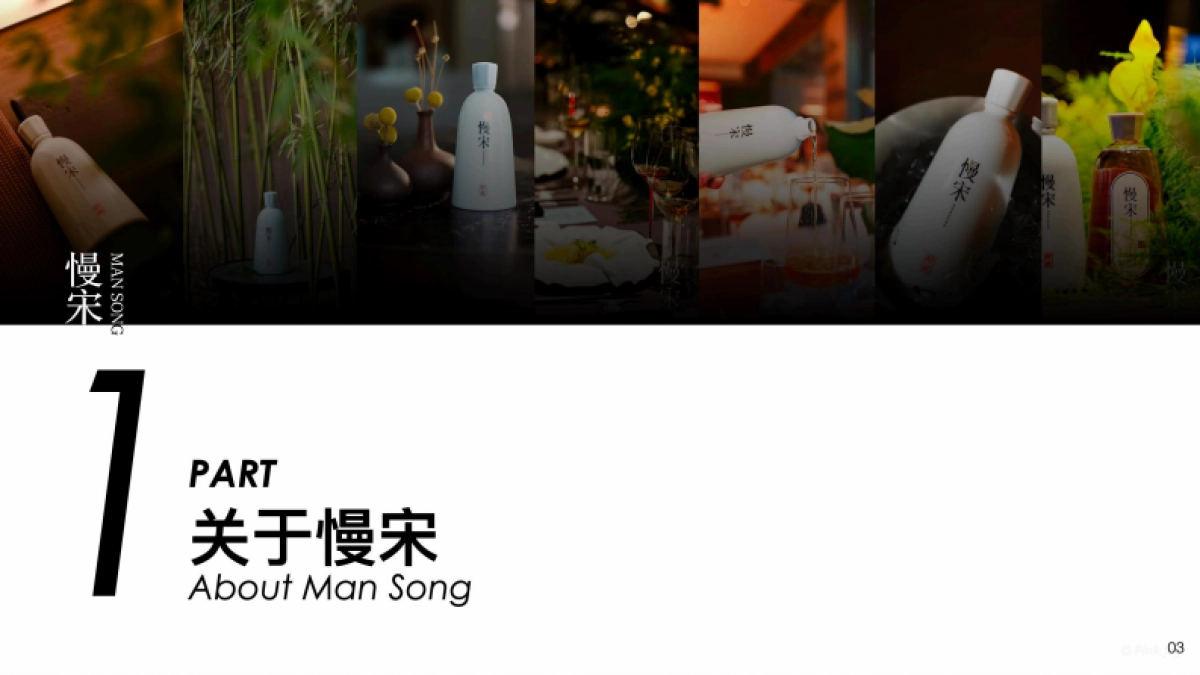 慢宋品牌全案框架_第3页