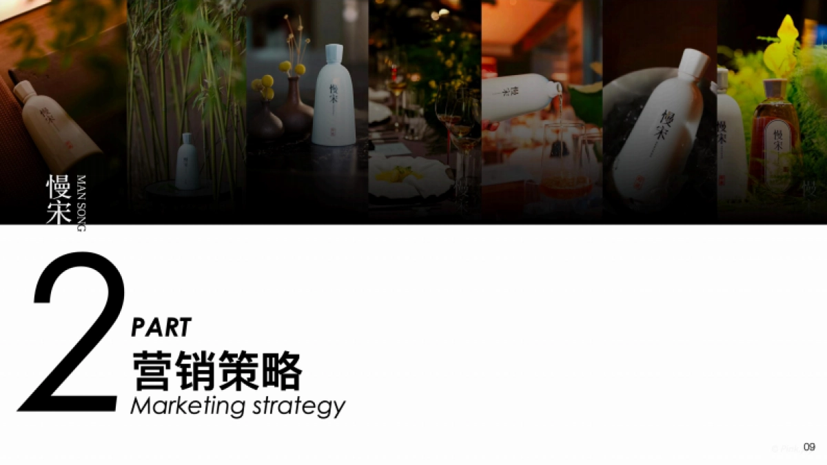 慢宋品牌全案框架_第9页