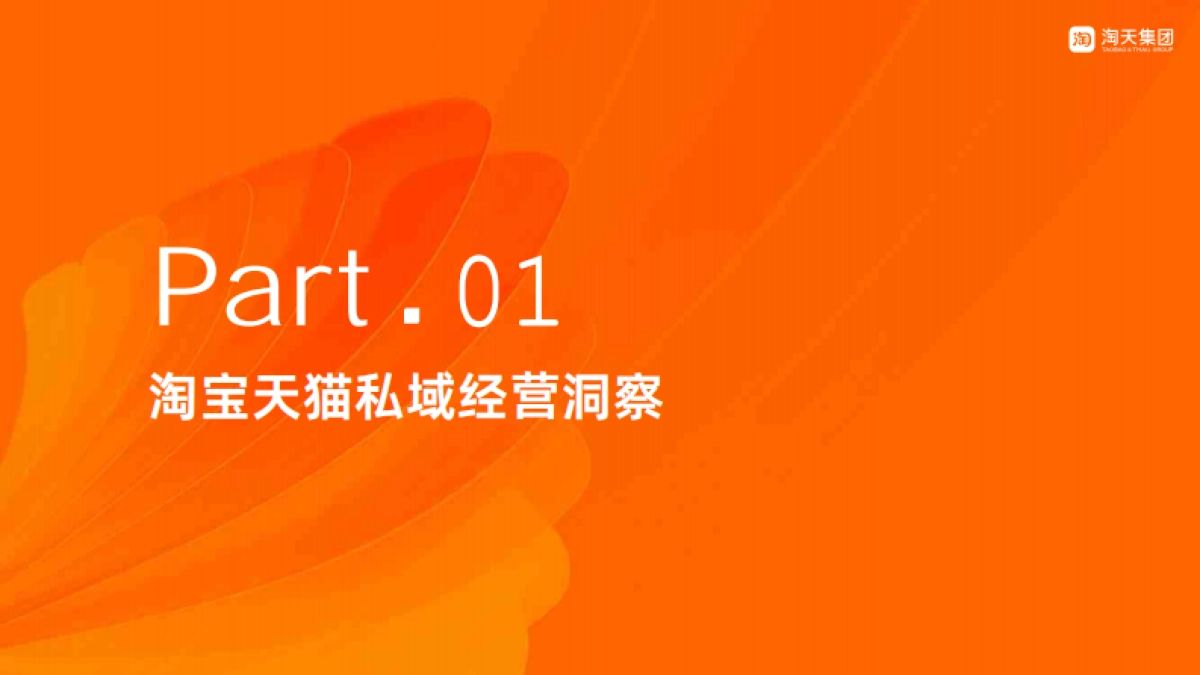 淘宝天猫商家私域经营手册_第3页