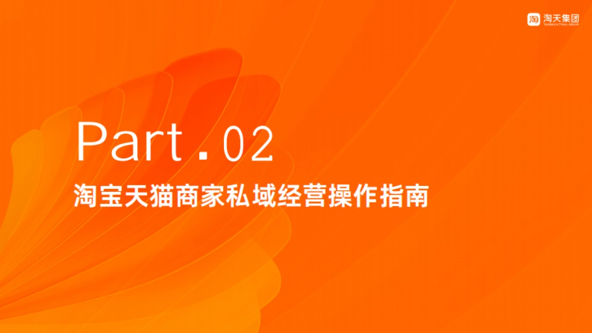 淘宝天猫商家私域经营手册_第9页