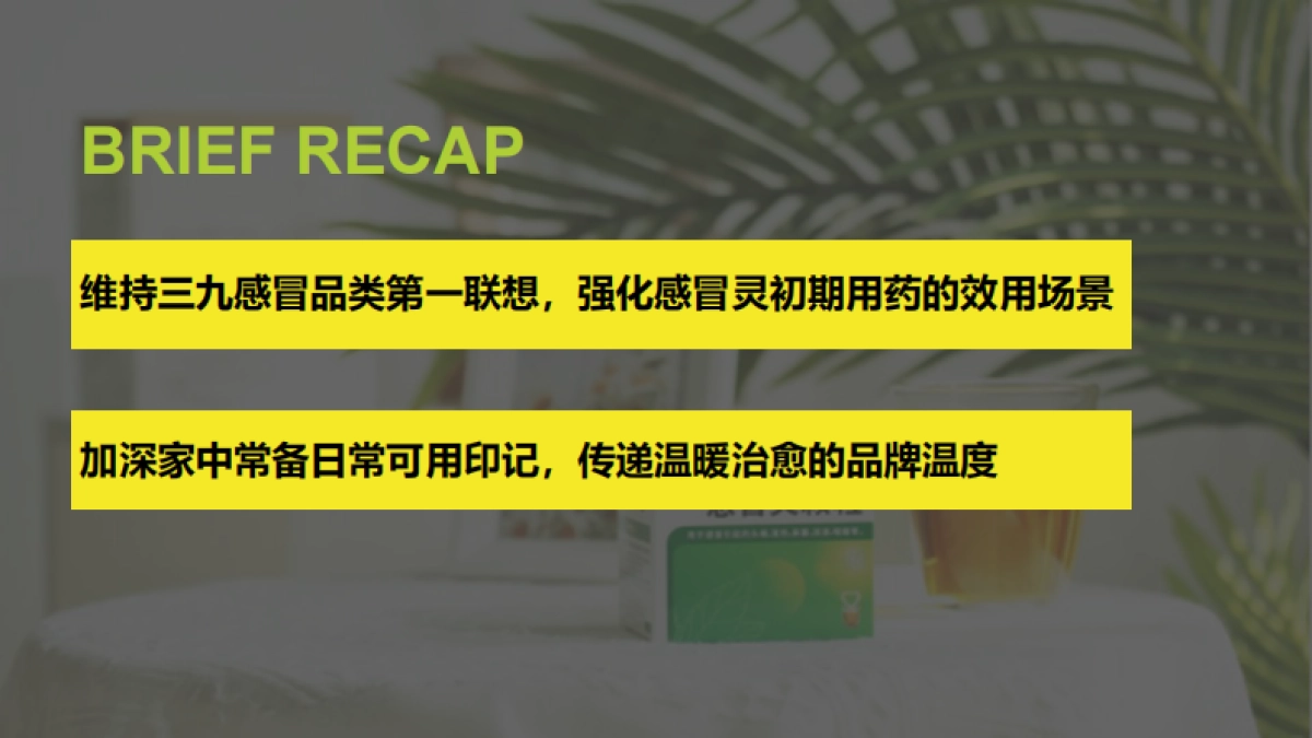 999感冒灵抖音kol内容营销方案_第2页
