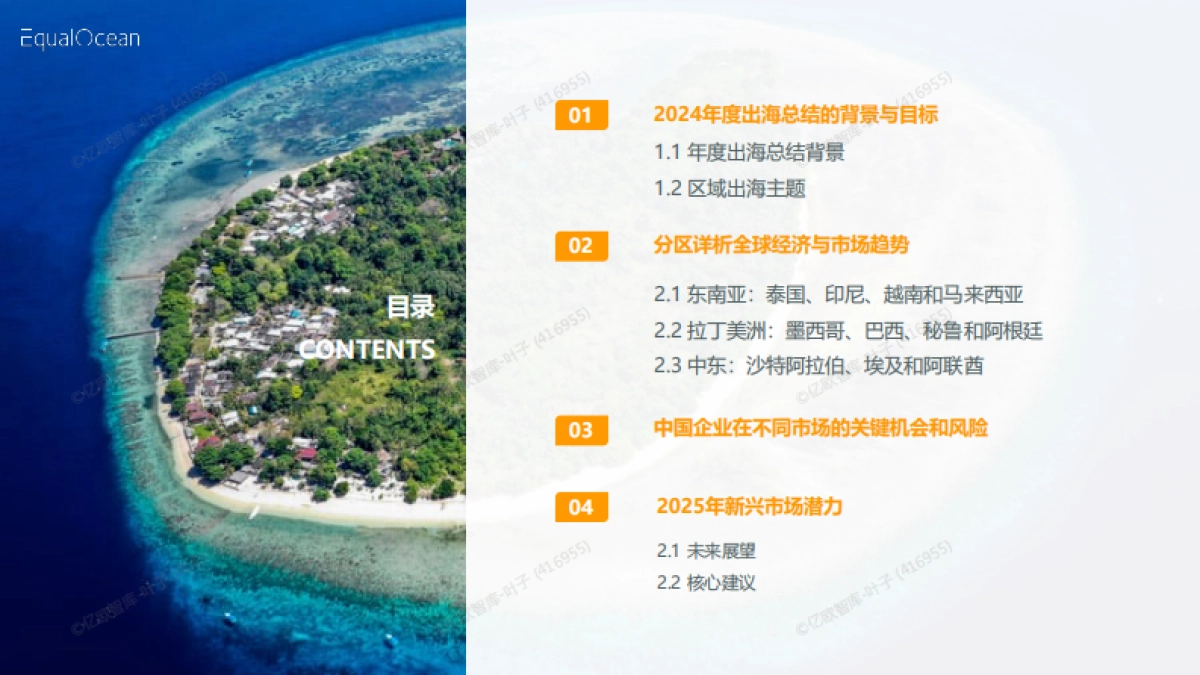 2024出海区域国别报告_第2页