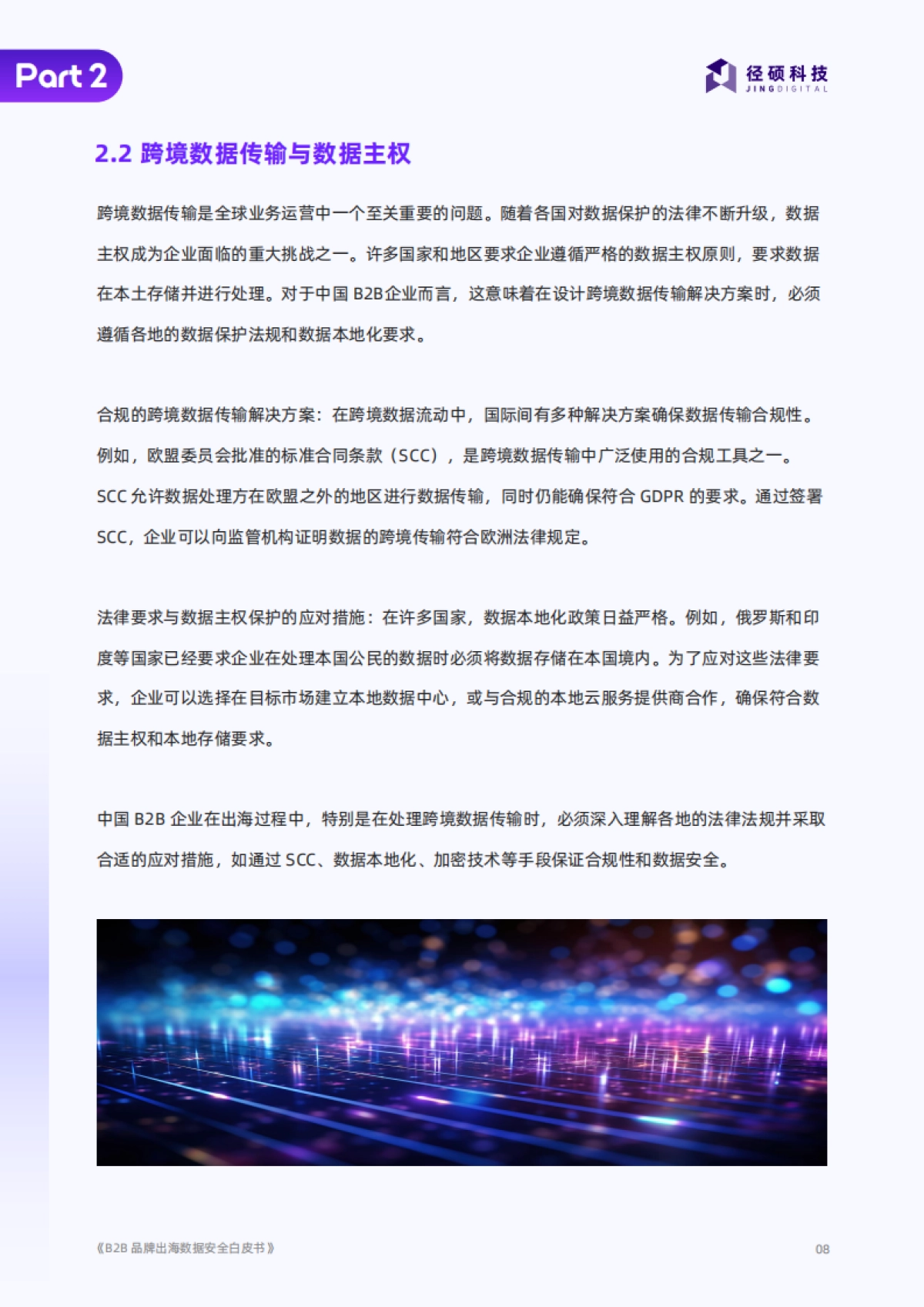 2025年B2B品牌出海数据安全白皮书_第8页