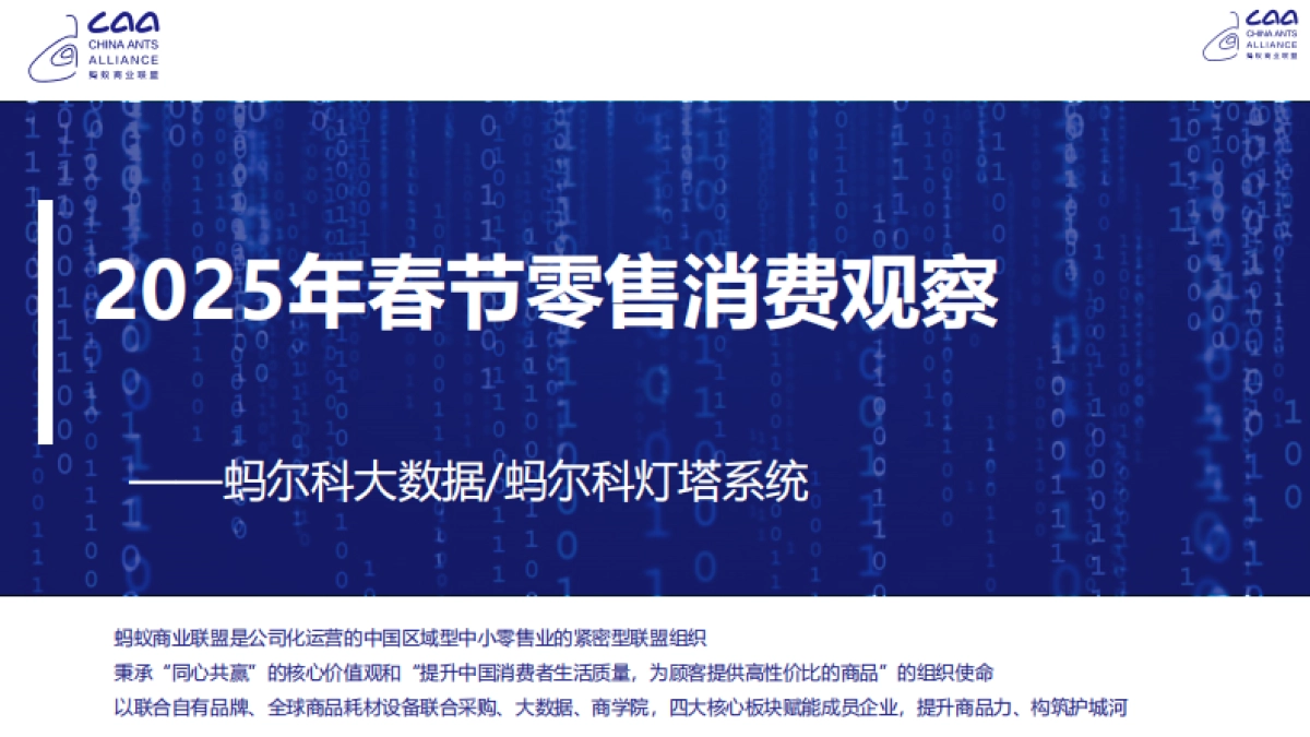 2025年春节零售消费观察报告_第1页