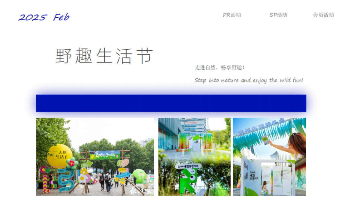 2025年全年营销计划_第8页