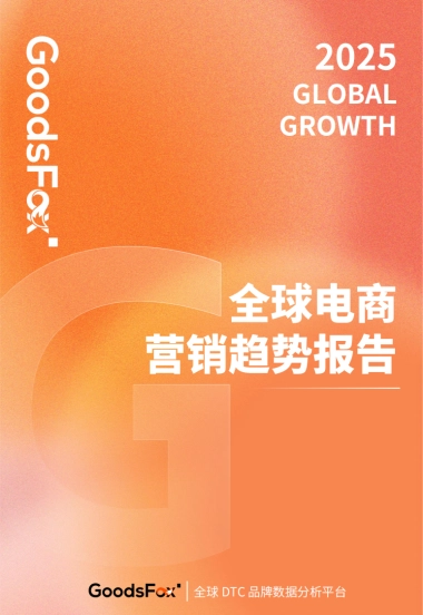 2025年全球电商营销趋势报告