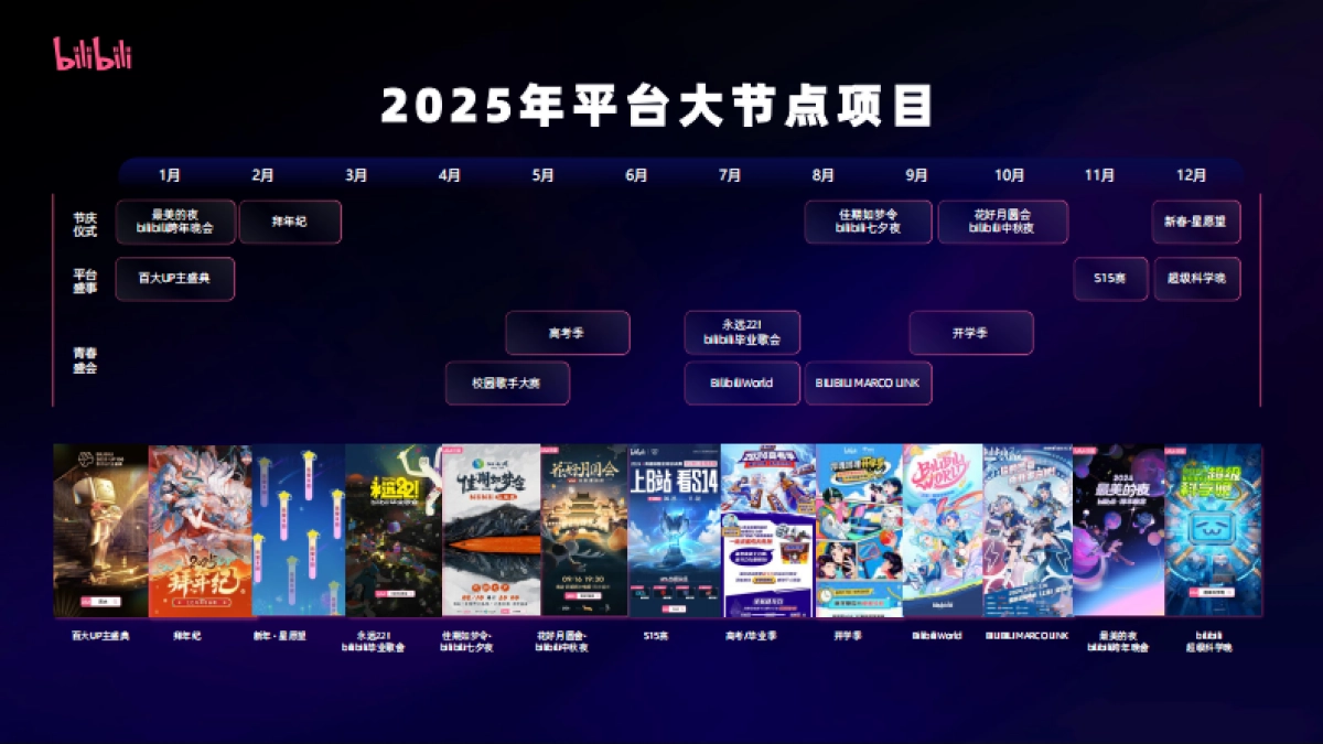 bilibili 2025招商资源通案_第10页