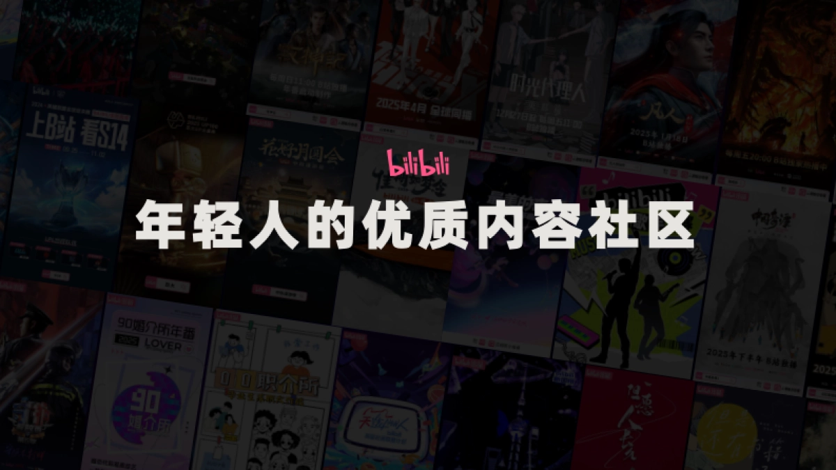 bilibili 2025招商资源通案_第2页