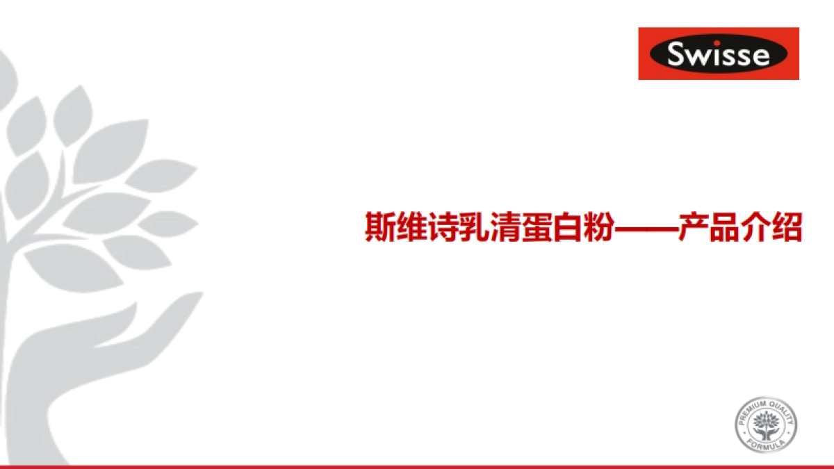 Swisse 乳清蛋白粉KOL Master brief_第6页