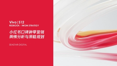 Vivo S12小红书口碑种草营销舆情分析与策略规划