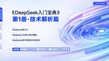 技术解析篇-DeepSeek入门宝典