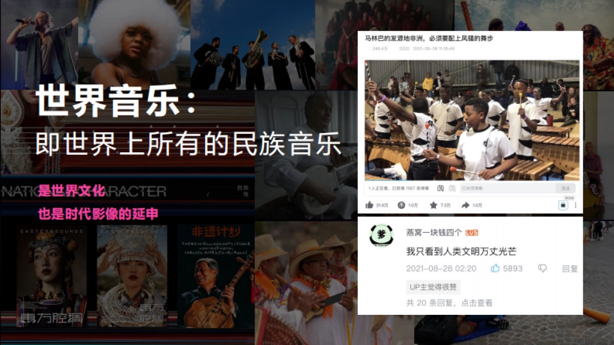 2025B站世界音乐文化集招商通案_第6页