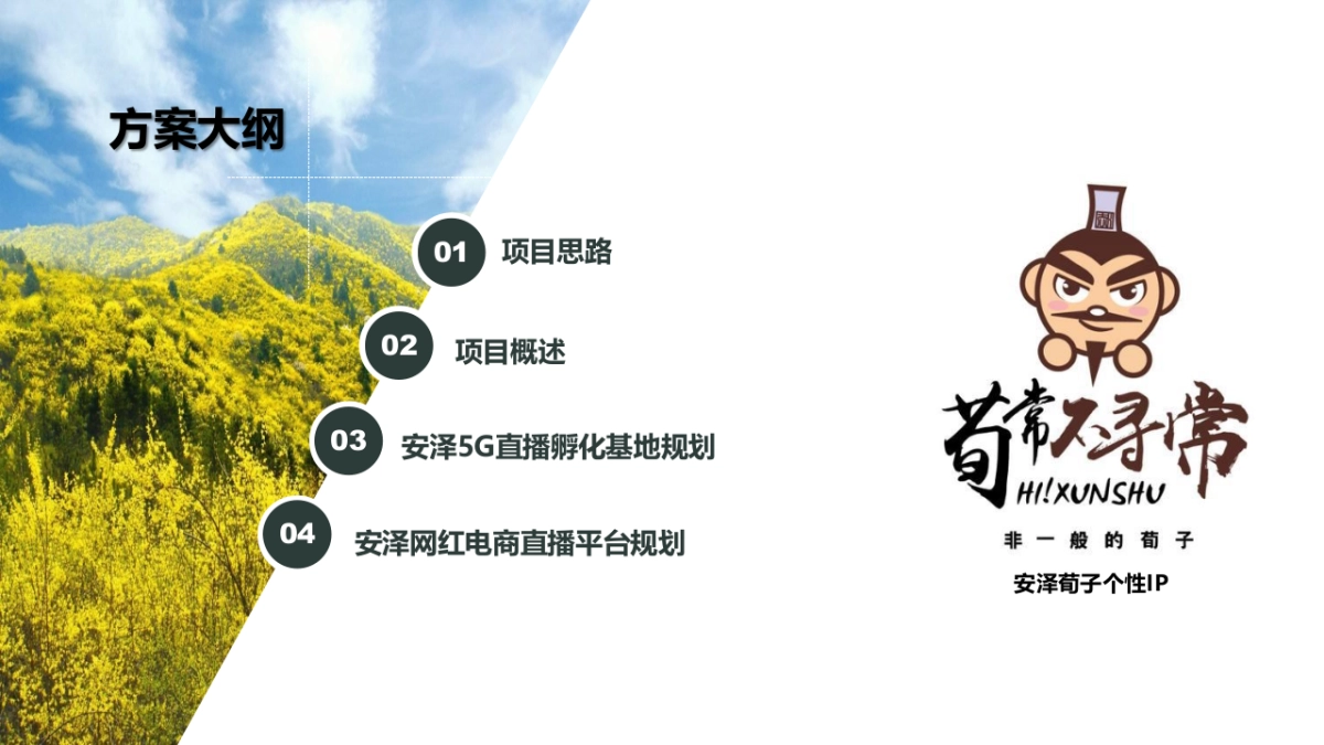 安泽县5G直播孵化基地策划方案_第2页