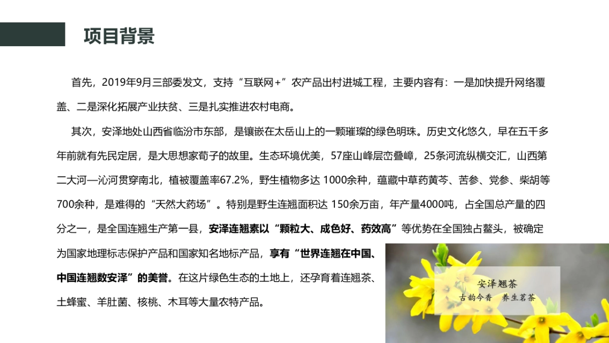 安泽县5G直播孵化基地策划方案_第4页