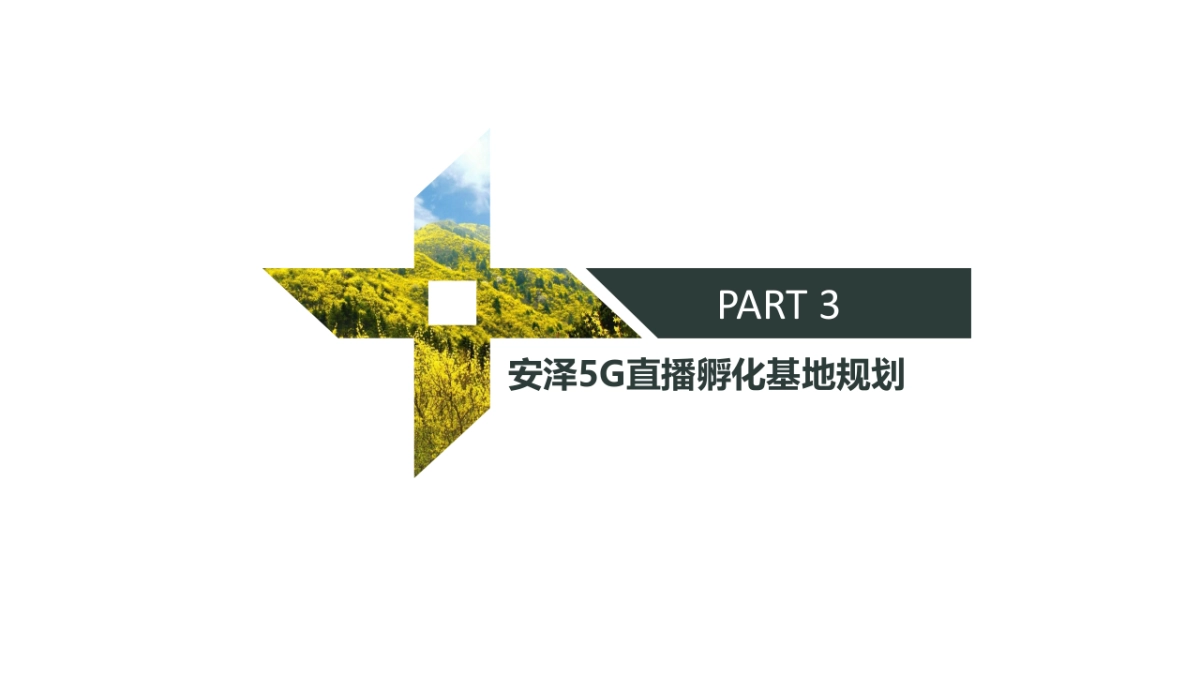 安泽县5G直播孵化基地策划方案_第9页