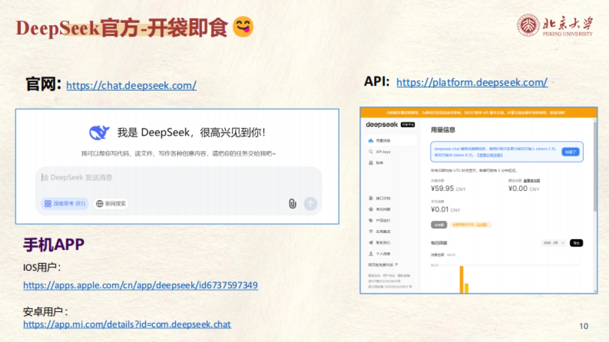北京大学-DeepSeek系列-提示词工程和落地场景_第10页