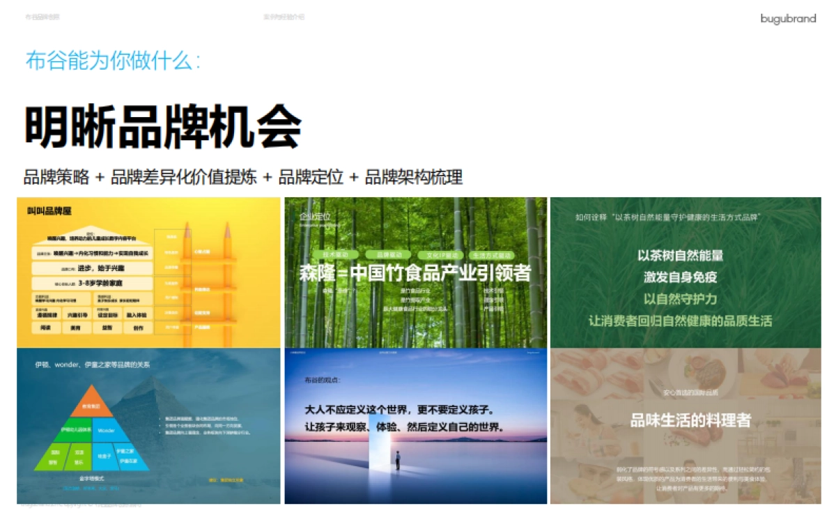 布谷品牌介绍及案例2025_第6页