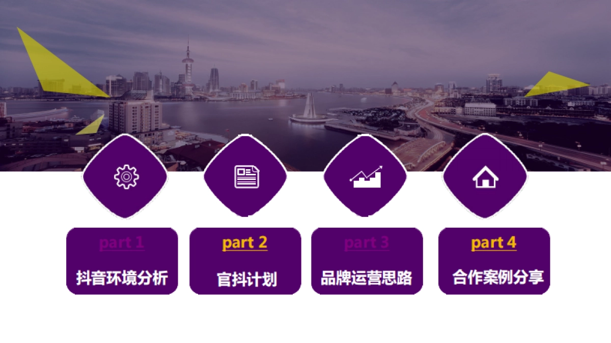 光大理财抖音运营_第2页