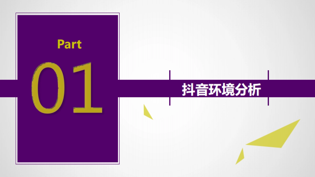 光大理财抖音运营_第3页